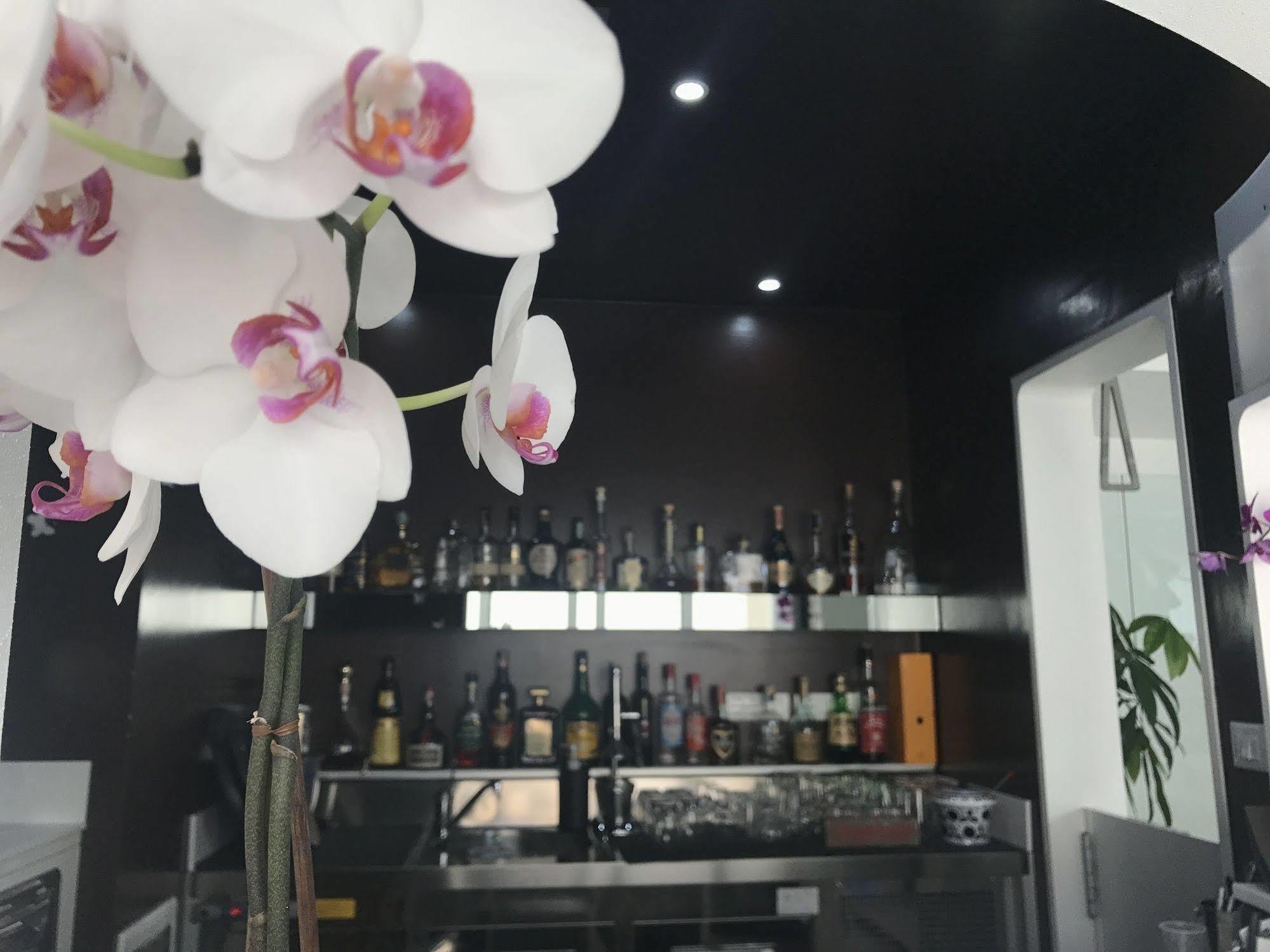 Quihotel Порто Чезарео Екстериор снимка
